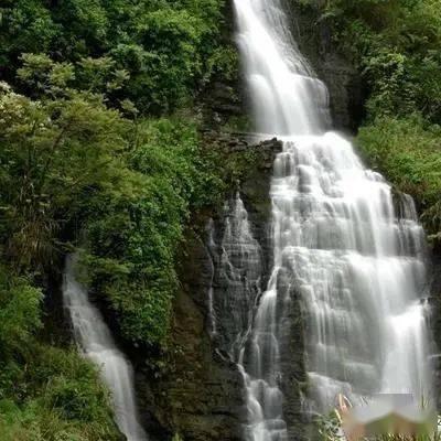 温岭推出市域医保共治码